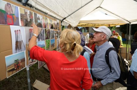 photographe tourisme sur une balade gourmande en Combe de Savoie : les participants découvrent les techniques de greffage des plants de vigne par des panneaux d'informations et des photos