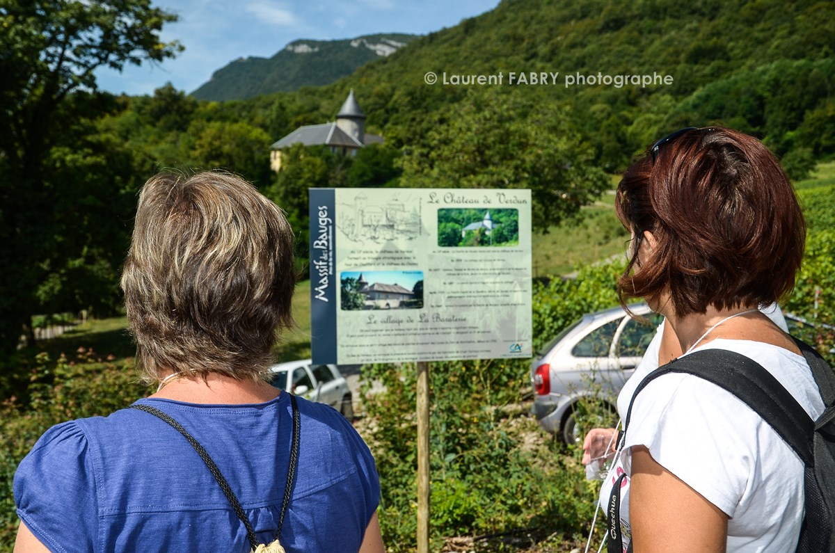 photographe tourisme sur une balade gourmande : des participants lisent des panneaux d'informations