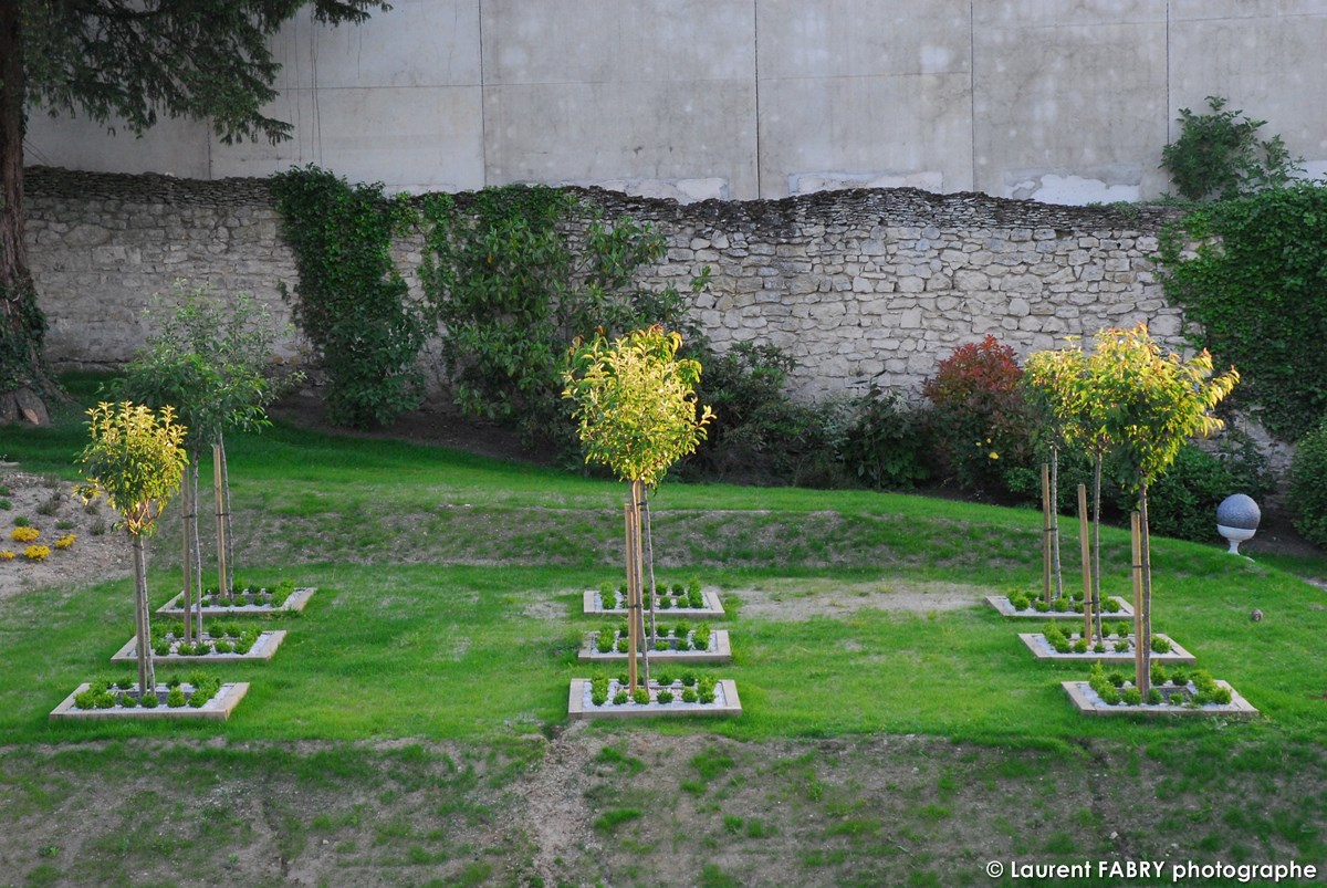 Photographe architecte paysagiste : la plantation d'arbres face au vieuxmur laissé en état