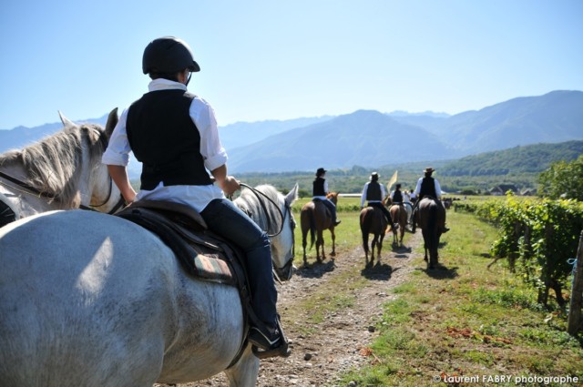 de jeunes cavalières descendent entre les vignes de la Combe de Savoie, photographe de tourisme équestre