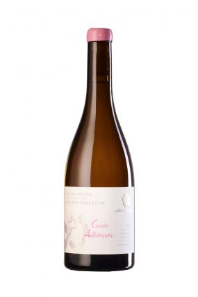 bouteille de vin de Savoie (Chignin Bergeron) photographiée en studio sur fond blanc