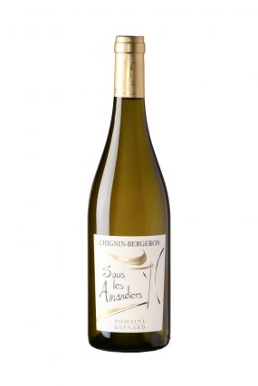 photo d'une bouteille (Chignin Bergeron) de vin de Savoie réalisée par un photographe professionnel en studio