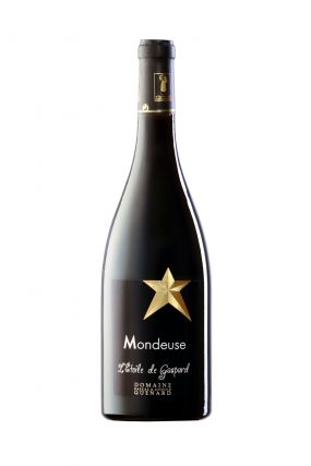 photo d'une bouteille de vin (Mondeuse) de Savoie réalisée par un photographe professionnel en studio