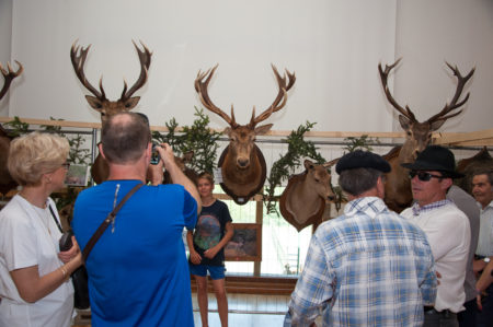 Photographe tourisme sur une fête de village en Savoie : exposition de trophées de chasse par l'ACCA des Allues : cerfs et autres animaux de montagne (trophées de chasse)