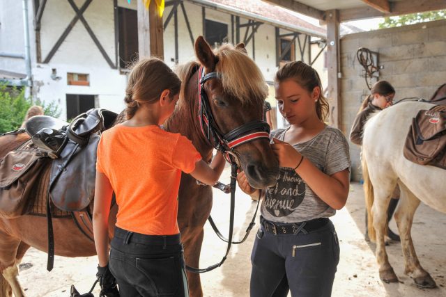 Photographe équin : Shooting photo professionnel pour des cavaliers de l'Ecole d'Equitation de Peillonnex