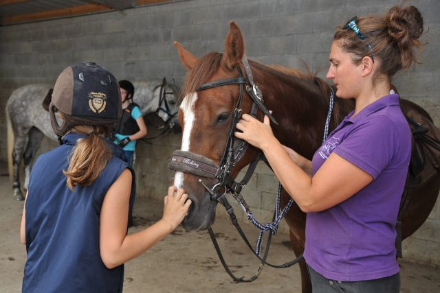 Photographe équin : Shooting photo pro à l'Ecole d'Equitation de Peillonnex