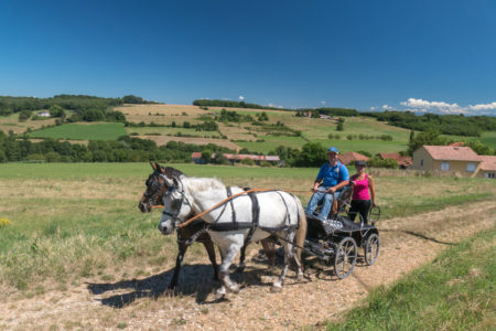 Photographe équestre Auvergne Rhône Alpes : professionnel en séance photo pour le CRTE Rhone Alpes avec les cavaliers de la Drome a Cheval