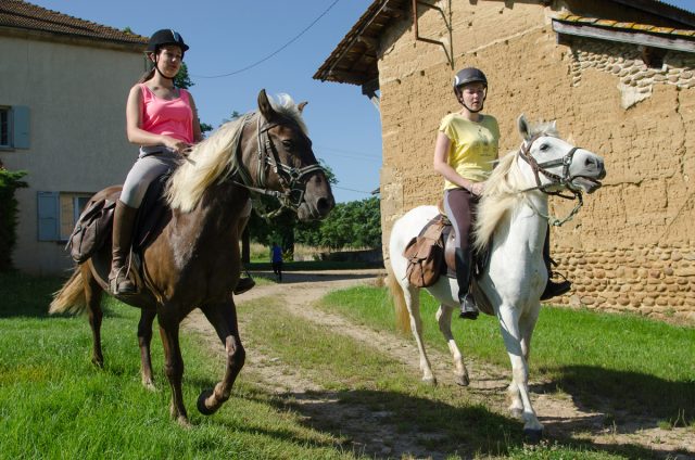 Photographe équitation en Auvergne Rhône Alpes : Reportage photo équestre à la Ferme Équestre des Collines