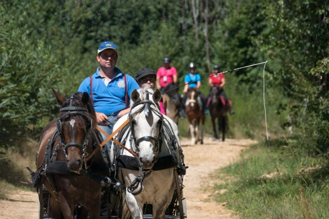 Photographe équestre Auvergne Rhône Alpes : Les cavaliers de la Drome a Cheval en séance photo professionnelle