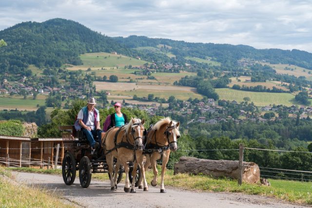 Photographe équestre Auvergne Rhône Alpes : Les cavaliers de l'Ecole d'Equitation de Peillonnex font leur shooting photo