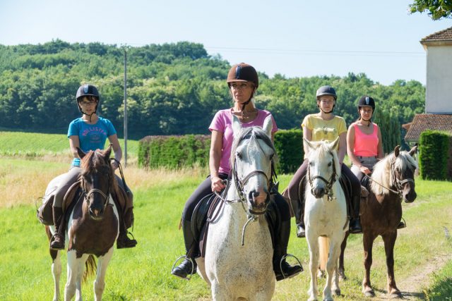 Photographe équestre Auvergne Rhône Alpes : Reportage photo pour les cavaliers de la Ferme Équestre des Collines