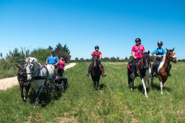 Photographe équitation en Auvergne Rhône Alpes : Shooting photo équestre dans la Drome des Collines