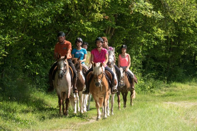 Photographe équestre Auvergne Rhône Alpes : Les cavaliers de la Ferme Équestre des Collines pendant leur reportage photo