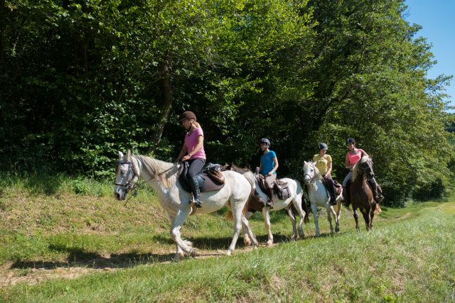 Photographe équin en Auvergne Rhône Alpes : Shooting photo équestre dans la Drome des Collines pour le CRTE Rhone Alpes à Ferme Equestre des Collines