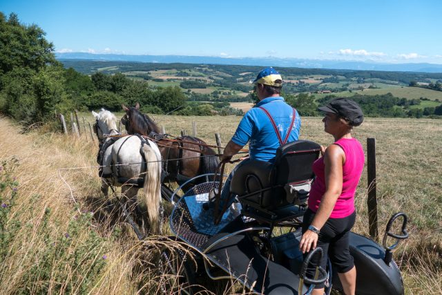 Photographe équin : Reportage photo dans la Drome des Collines pour le CRTE Rhone Alpes