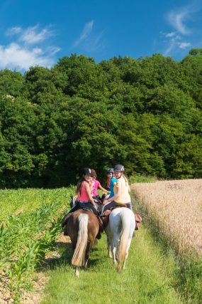 Photographe équestre en Auvergne Rhône Alpes : La Ferme Équestre des Collines en reportage photo professionnel