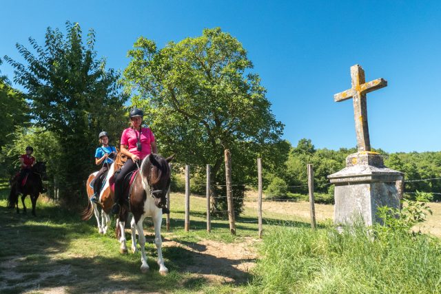 Photographe équestre en Auvergne Rhône Alpes : Photo dans la Drome des Collines pour le CRTE Rhone Alpes