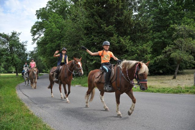 Photographe équestre en Auvergne Rhône Alpes : La Ferme Équestre des Collines en reportage photo professionnel