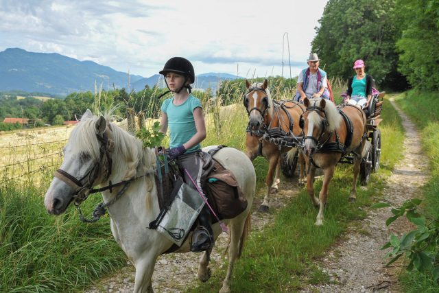 Photographe équestre en Auvergne Rhône Alpes : Shooting photo pro à l'Ecole d'Equitation de Peillonnex, Haute Savoie