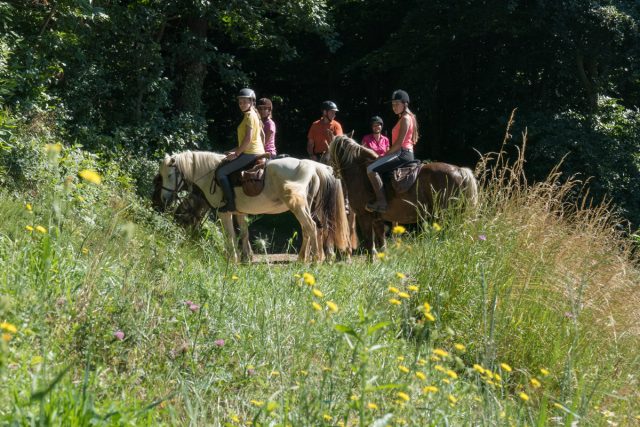 Photographe équestre en Auvergne Rhône Alpes : La Ferme Équestre des Collines fait son shooting photo professionnel