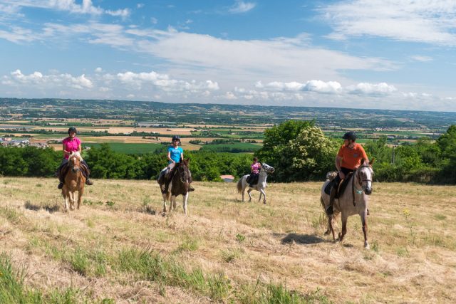 Photographe équestre en Auvergne Rhône Alpes : avec les cavaliers de la Ferme Équestre des Collines