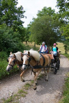 Photographe équestre en Auvergne Rhône Alpes : avec les cavaliers de l'Ecole d'Equitation de Peillonnex