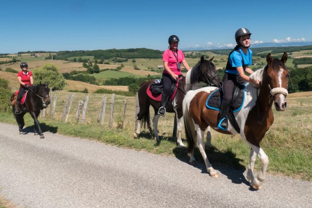 Photographe équestre en Auvergne Rhône Alpes : Shooting photo professionnel pour Drome a Cheval