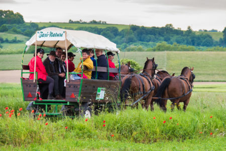 Photographe équestre En Auvergne Rhône Alpes : Inauguration Des Circuits Itinérants équestres Et D'attelage Des Vals Du Dauphine, Dimanche 22 Mai 2016 Au Château De Vallin, St Victor De Cessieu, Isère