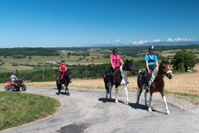 Photographe équin en Auvergne Rhône Alpes : Shooting photo équestre professionnel pour Drome a Cheval