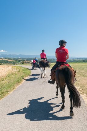 Photographe équin professionnel avec les cavaliers de la Drome a Cheval