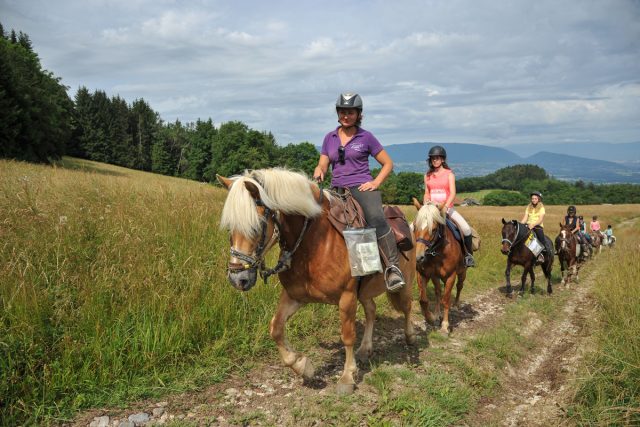Photographe équestre en Auvergne Rhône Alpes : Séance photo avec les cavaliers de l'Ecole d' Equitation de Peillonnex