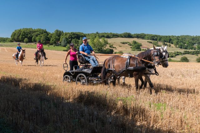 Photographe équestre en Auvergne Rhône Alpes : Les cavaliers de la Drome a Cheval font un shooting pour le CRTE