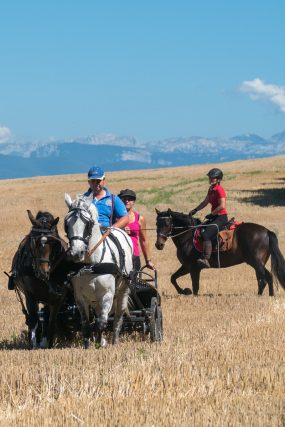 Photographe équestre en Auvergne Rhône Alpes : Reportage photo par un professionnel dans la Drome des Collines pour le CRTE Rhone Alpes avec les cavaliers de la Drome a Cheval