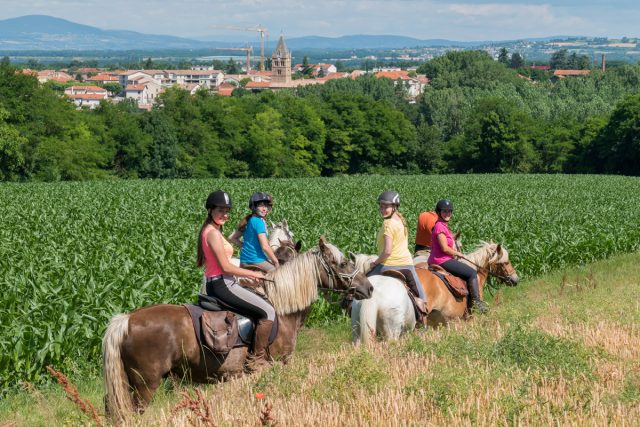 Photographe équestre en Auvergne Rhône Alpes : Shooting photo équestre avec les cavaliers de la Ferme Équestre des Collines
