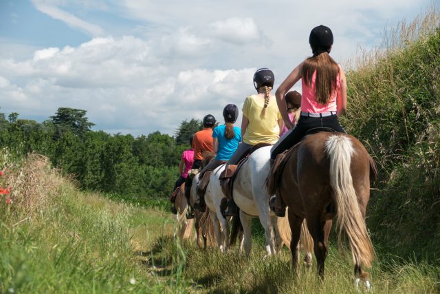 Photographe équestre en Auvergne Rhône Alpes : Reportage photo équestre avec les cavaliers de la Ferme Équestre des Collines