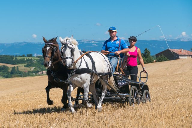 Photographe équestre en Auvergne Rhône Alpes : Shooting photo professionnel dans la Drome des Collines pour le CRTE Rhône Alpes avec les cavaliers de la Drome a Cheval