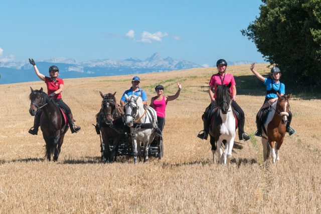 Photographe équestre en Auvergne Rhône Alpes : Shooting photo par un professionnel dans la Drome des Collines pour le CRTE Rhône Alpes avec les cavaliers de la Drome a Cheval