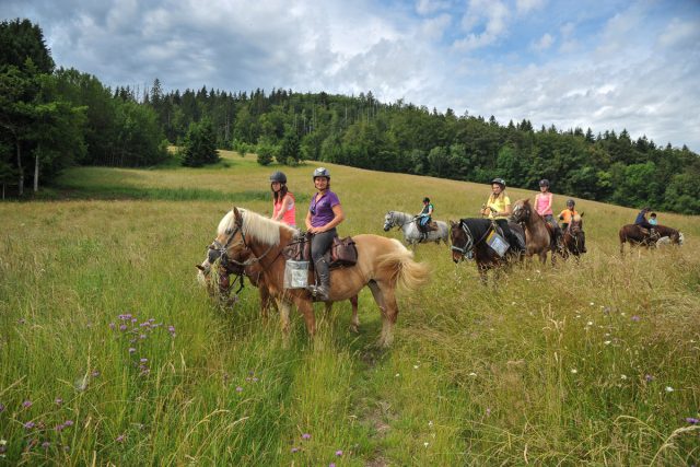 Photographe équestre en Auvergne Rhône Alpes : Shooting photo avec les cavaliers de l'Ecole d'Equitation de Peillonnex