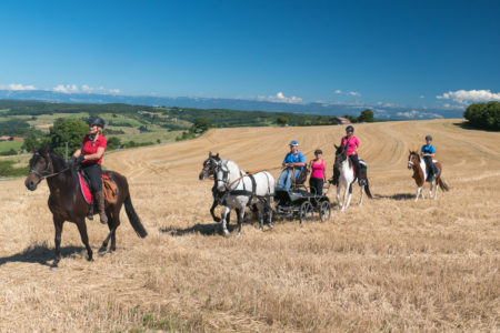 Photographe équestre En Auvergne Rhône Alpes : Séance Photo Organisée Par Le Photographe équestre Dans La Drome Des Collines Pour Le CRTE Rhône Alpes Avec Les Cavaliers De La Drome A Cheval