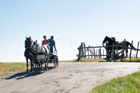 Photographe équestre En Auvergne Rhône Alpes : Shooting Photo Dans La Drome Des Collines Pour Le CRTE