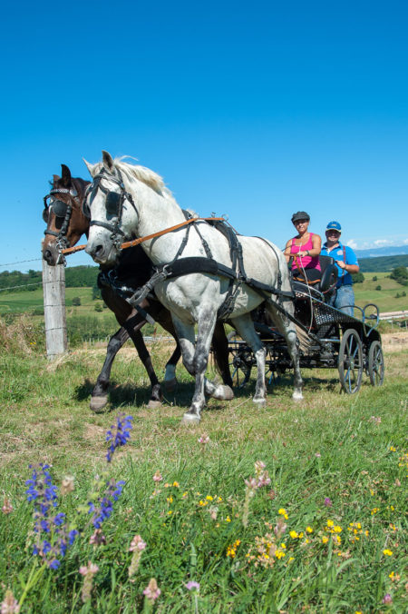 Photographe équin En Auvergne Rhône Alpes : Photo Dans La Drome Des Collines Pour Le CRTE Rhône Alpes Avec Les Cavaliers De La Drome A Cheval Et Réalisée En Auvergne Rhône Alpes