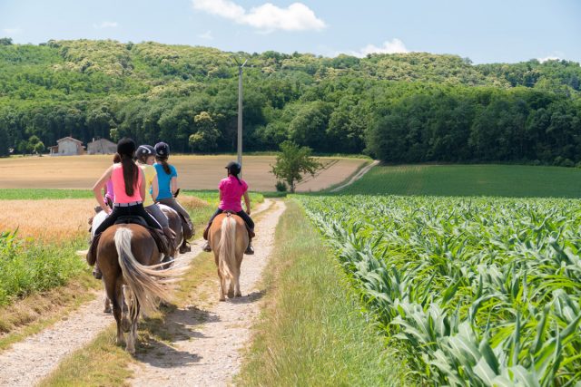 Photographe en Auvergne Rhône Alpes : Reportage photo équestre en compagnie des cavaliers de la Ferme Équestre des Collines