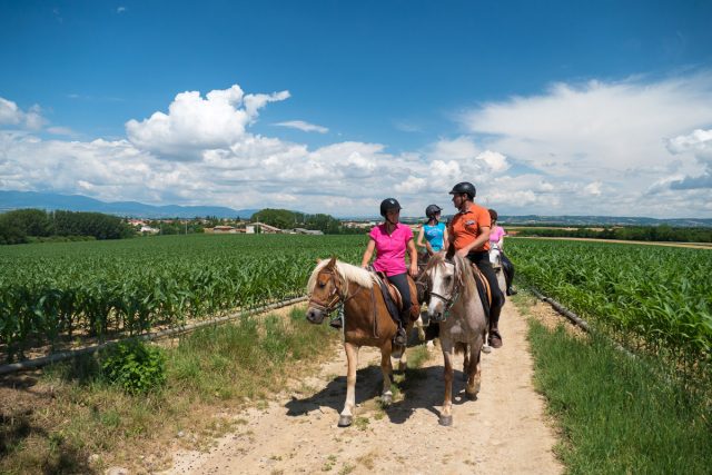 Photographe en Auvergne Rhône Alpes : Reportage équestre en photo des cavaliers de la Ferme Équestre des Collines