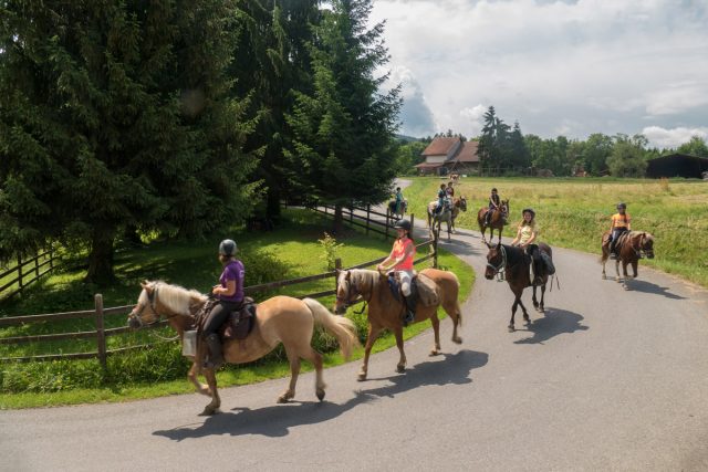 Photographe en Auvergne Rhône Alpes : Shooting photo équestre professionnel pour les cavaliers de l'Ecole d'Equitation de Peillonnex