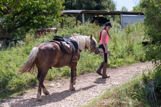 Photographe équitation professionnel à la Ferme Équestre des Collines