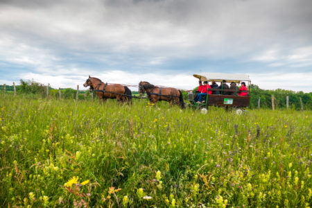 Photographe équestre en Auvergne Rhône Alpes : inauguration des circuits itinérants équestres et d'attelage des Vals du Dauphine