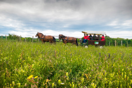 Photographe équestre En Auvergne Rhône Alpes : Inauguration Des Circuits Itinérants équestres Et D'attelage Des Vals Du Dauphine