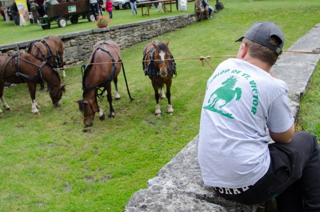 Photographe équitation en Auvergne Rhône Alpes : photographie équestre de l'inauguration des circuits itinérants équestres et d'attelage des Vals du Dauphine