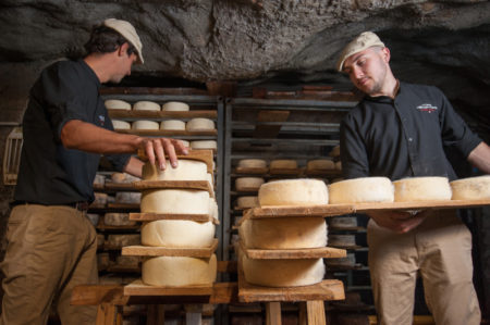 Travail Sur Des Tommes Fraîches Dans Les Caves D'Affinage De Savoie, Rognaix