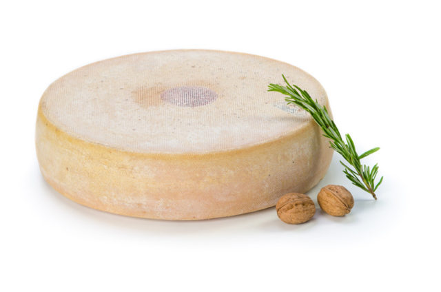 photographe produit du terroir pour les Caves d'Affinage de Savoie, Rognaix : Raclette de Savoie IGP